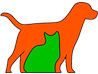 O seu veterinário em santarém