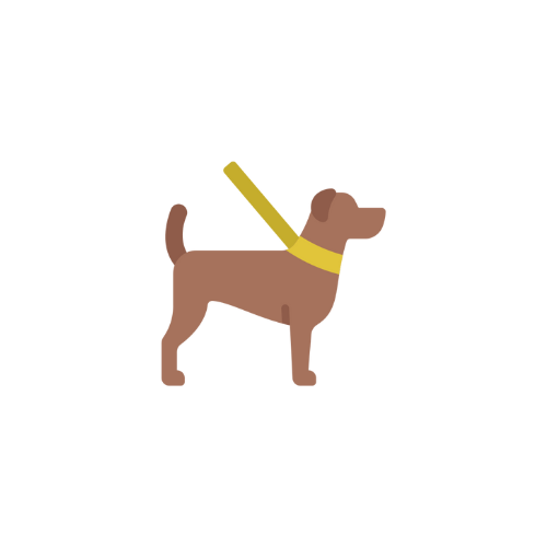 Dog Walker e Petsitter